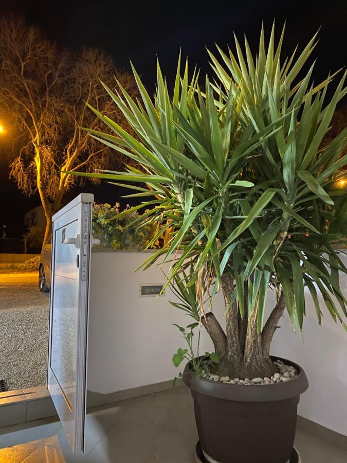 Studio Mare Zadar Exterior photo